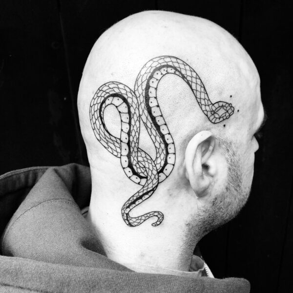 Serpent sur le crâne par Veenom