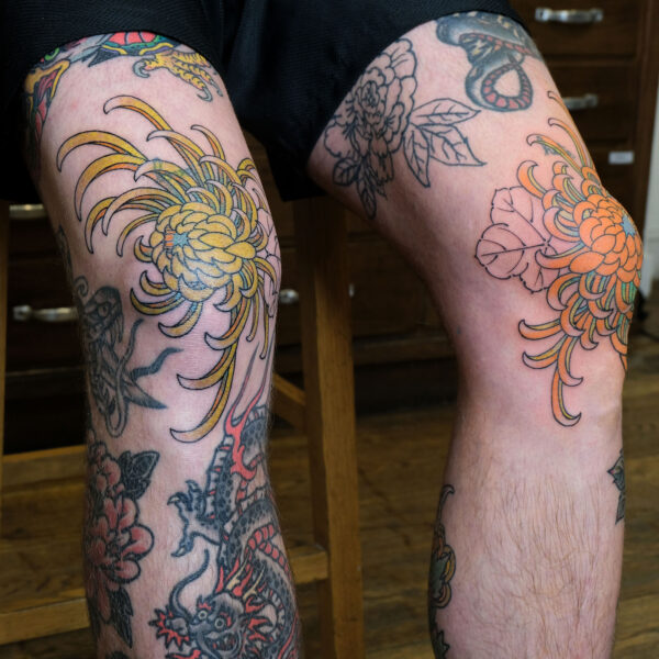 Chrysanthèmes colorées sur les genoux par Violette Poinclou