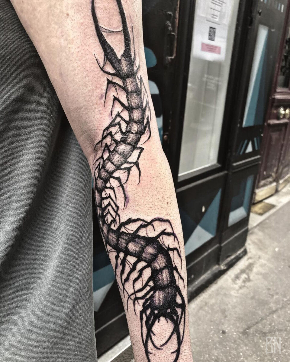 vesanie tattoo centipede