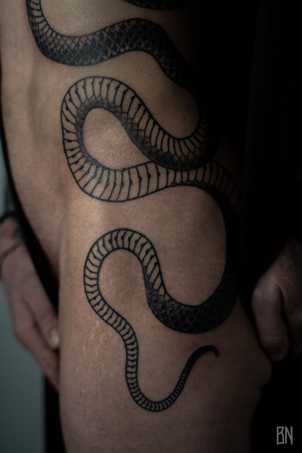 joy serpent côtes tatouage