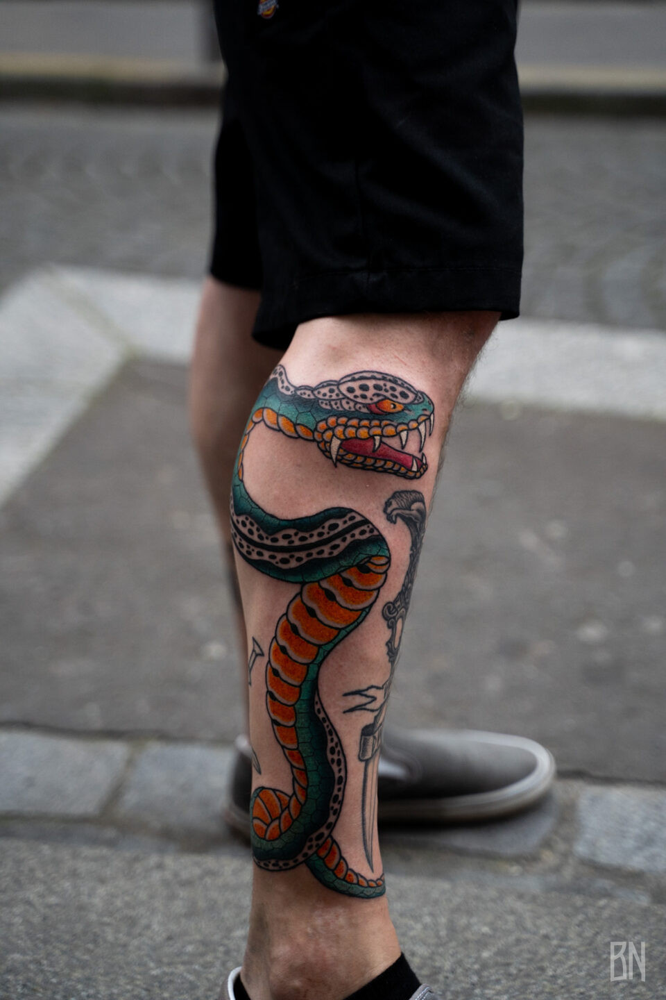 Serpent en couleurs par Ondori
