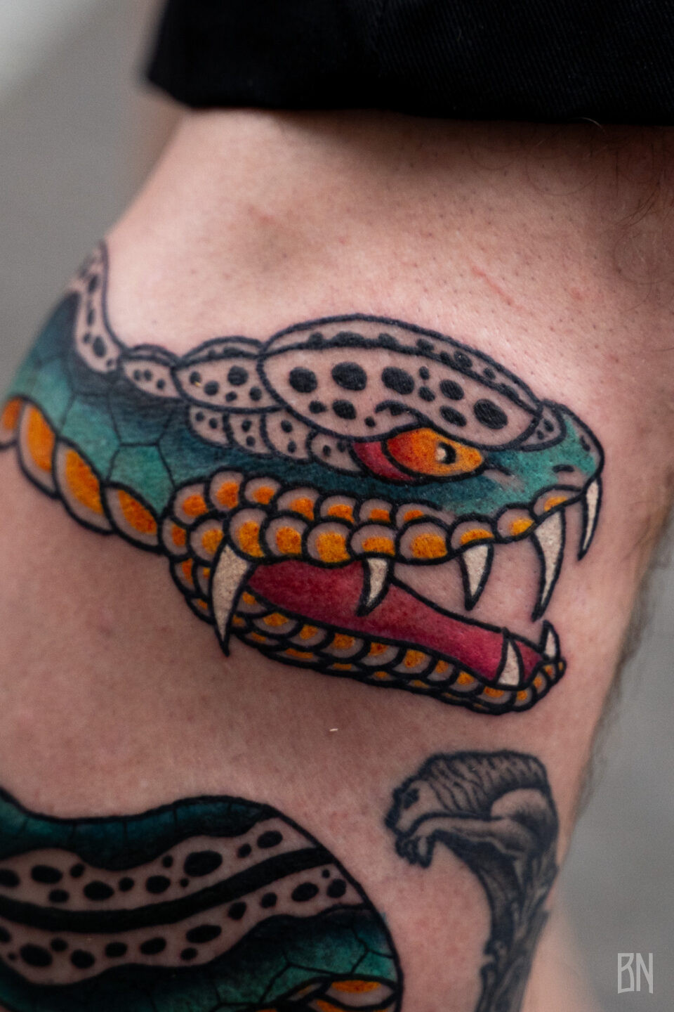 Serpent en couleurs par Ondori